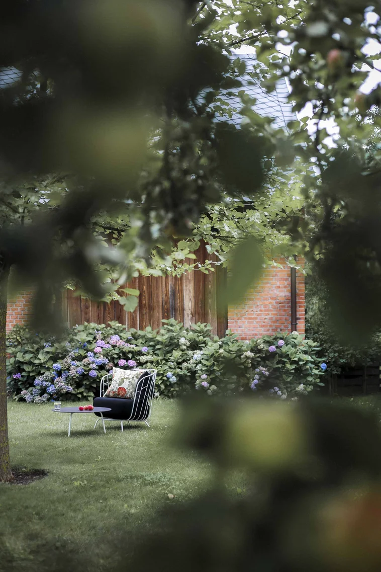 Egoé Life impression 20