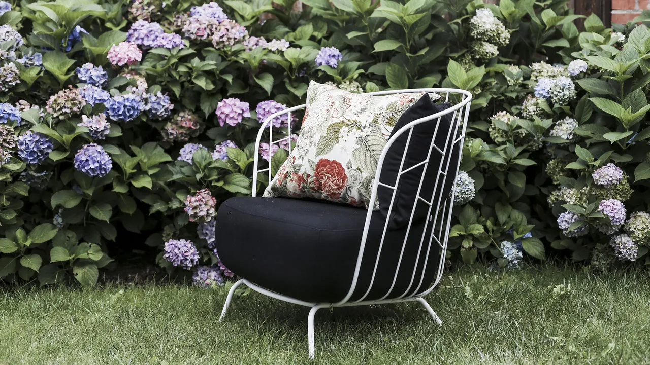 Egoé Life impression 22