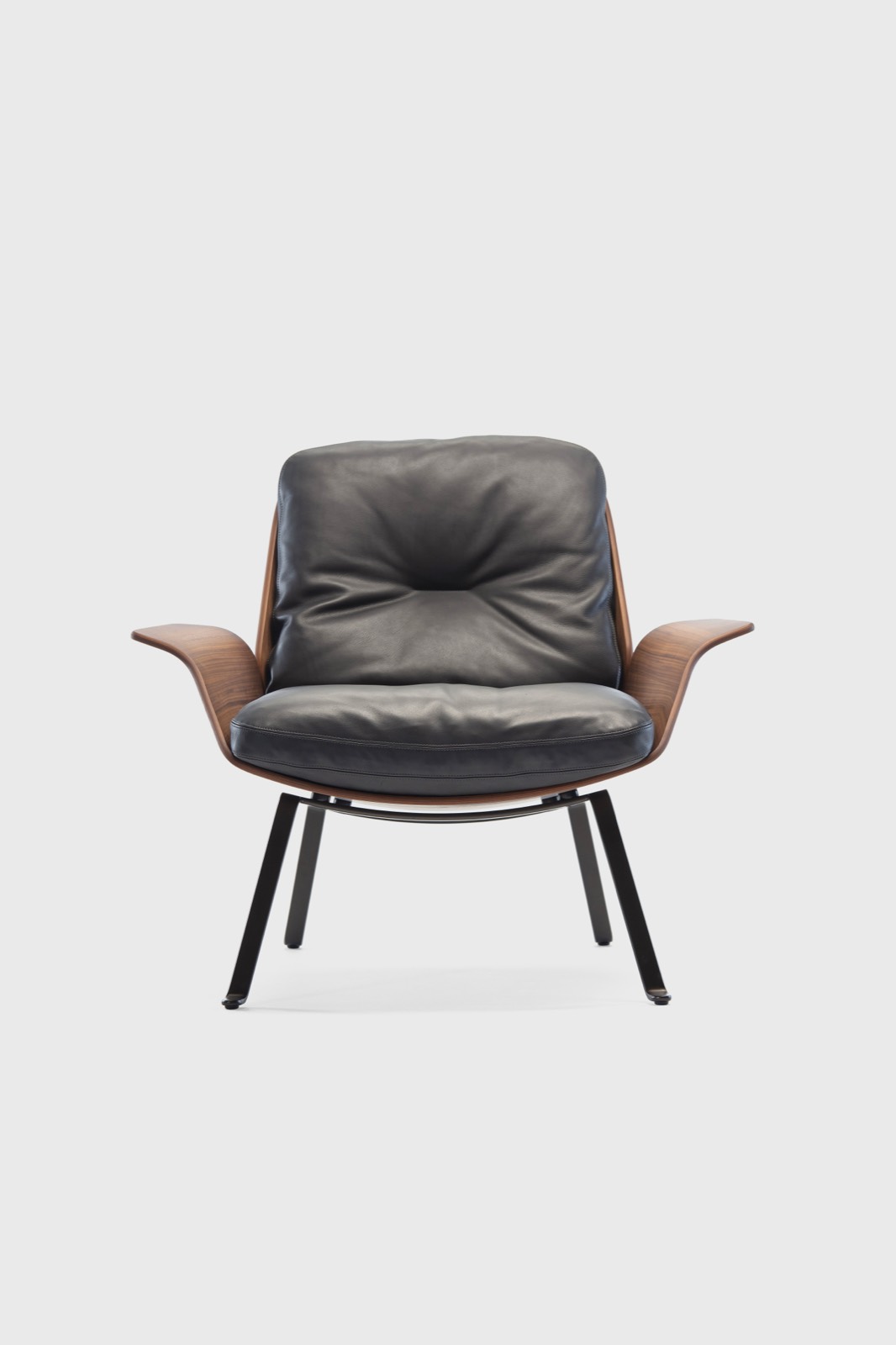 Prostoria impression 29